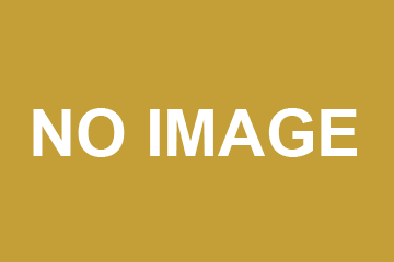 Document: [ Re Holy Trinity Hastings [2019] ECC Chi 1]